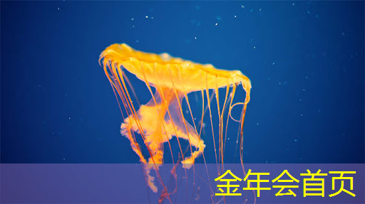 小孩想做电竞选手该如何劝
