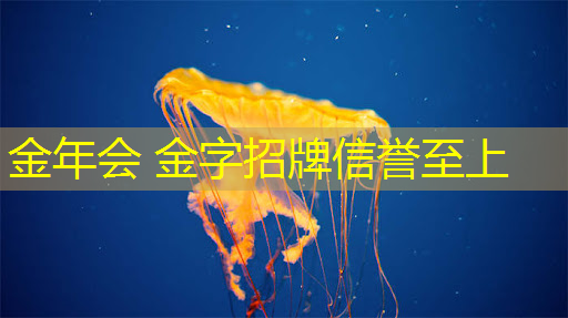 <strong>金年会 金字招牌信誉至上：游戏原画五个种类名称是什么</strong>