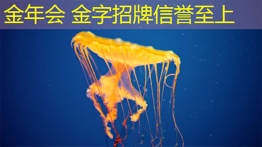 金年会jinnianhui.com：动作3d游戏推荐手机版