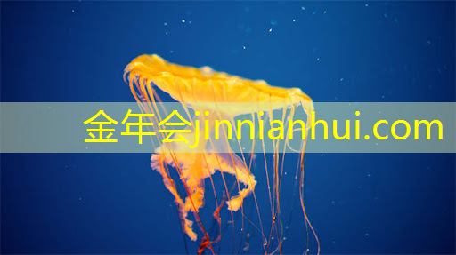 游戏原画五个种类名称是什么